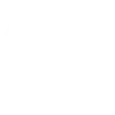 Vector