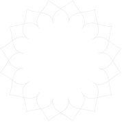 Vector