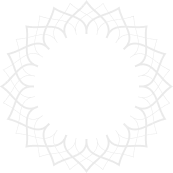 Vector
