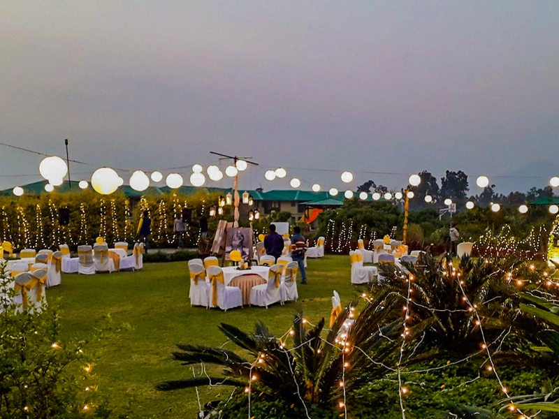 Wedding Gallery