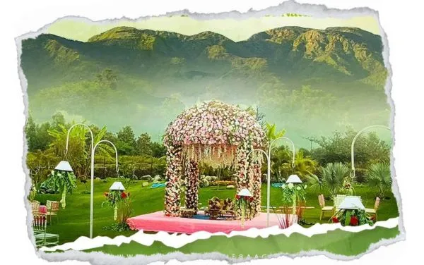 Wedding Gallery